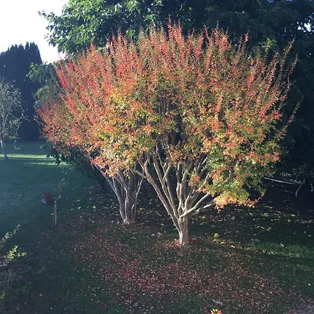 Sever Des Pyrenees Oda ve Kahvaltı