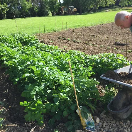 Sever Des Pyrenees Frühstückspension