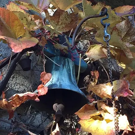 Oda ve Kahvaltı Sever Des Pyrenees Saint-Sever-de-Rustan