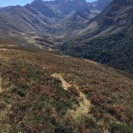 Oda ve Kahvaltı Sever Des Pyrenees Saint-Sever-de-Rustan