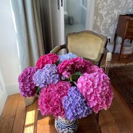 Oda ve Kahvaltı Sever Des Pyrenees