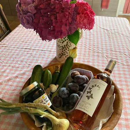 Sever Des Pyrenees 4* Saint-Sever-de-Rustan