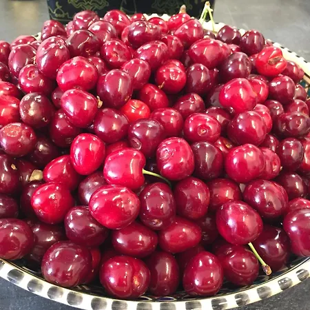 Sever Des Pyrenees Saint-Sever-de-Rustan