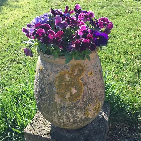 Sever Des Pyrenees Bed & Breakfast Saint-Sever-de-Rustan