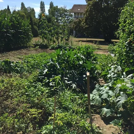 Sever Des Pyrenees Bed & Breakfast *