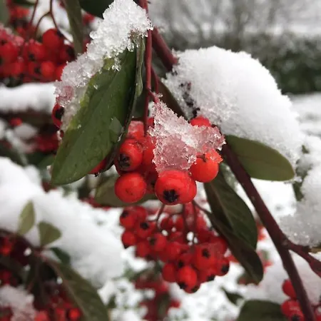 Bed & Breakfast Sever Des Pyrenees Saint-Sever-de-Rustan