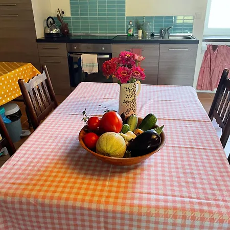 Sever Des Pyrenees Bed & Breakfast Saint-Sever-de-Rustan