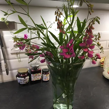 Bed & Breakfast Sever Des Pyrenees 4*