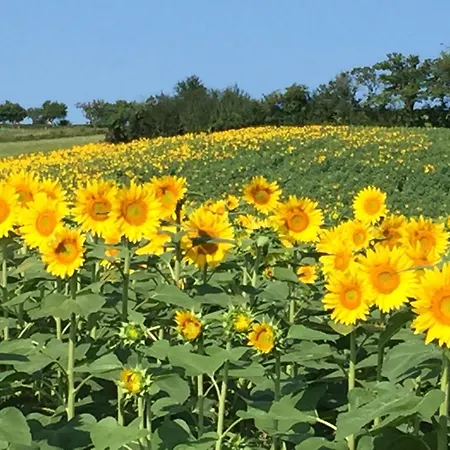 Bed & Breakfast Sever Des Pyrenees 4*