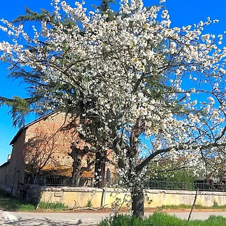 Sever Des Pyrenees فندق مبيت وإفطار 4*