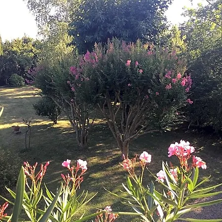 Sever Des Pyrenees Saint-Sever-de-Rustan