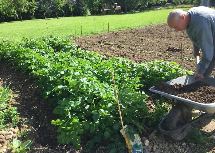 Sever Des Pyrenees Oda ve Kahvaltı