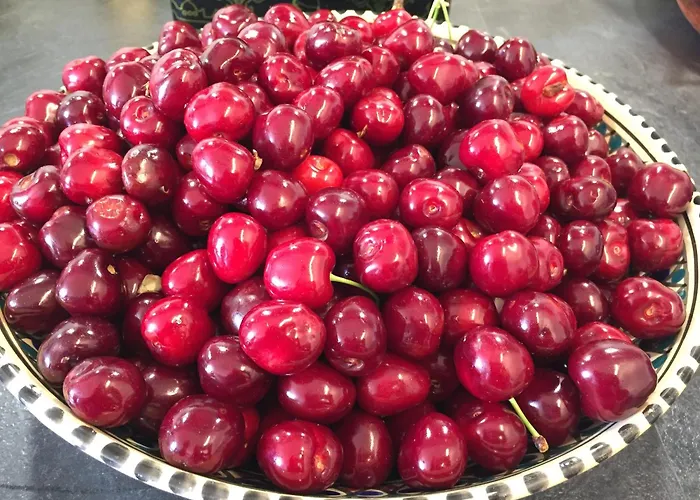 Sever Des Pyrenees Saint-Sever-de-Rustan